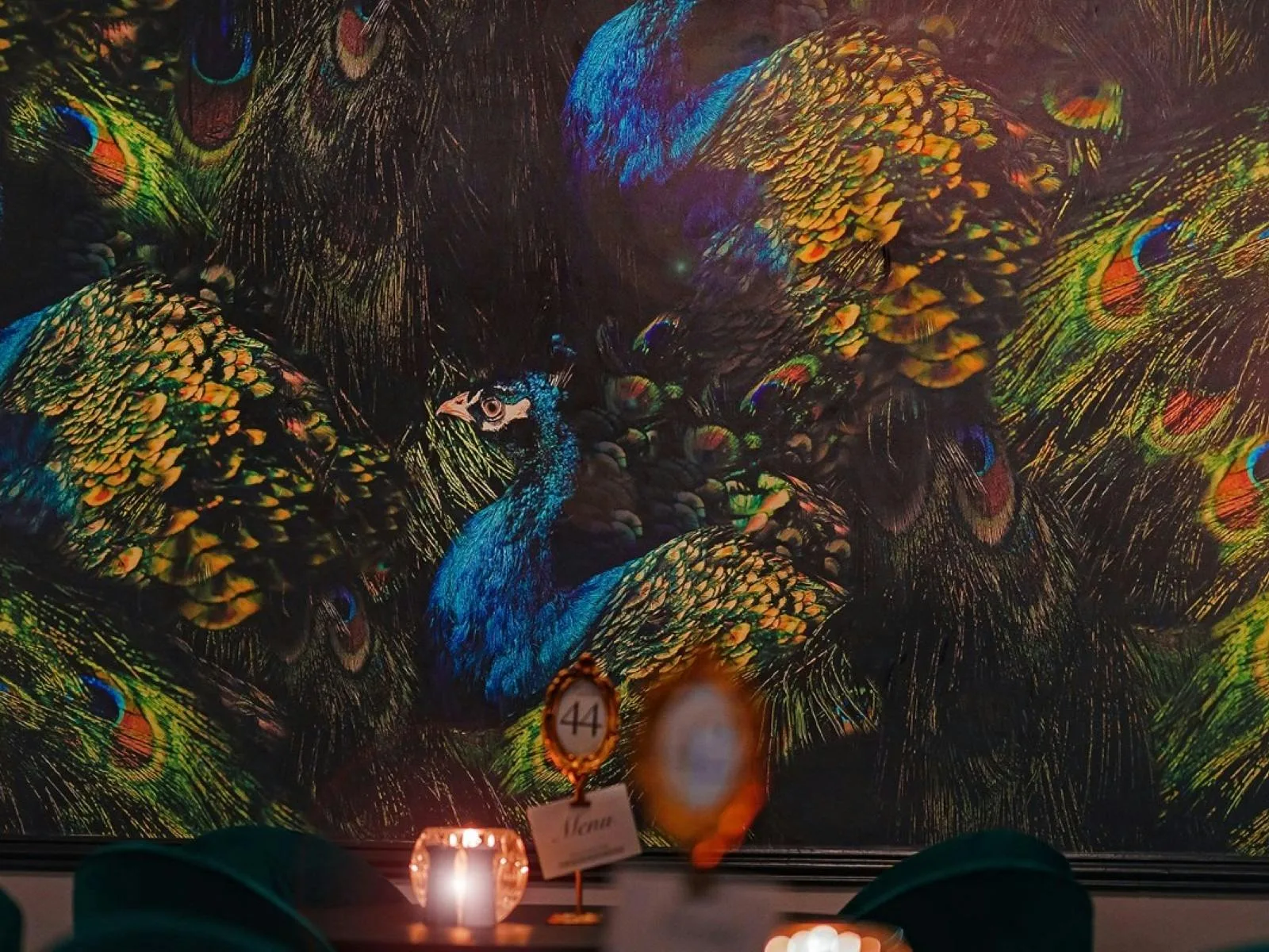 The show-stopping peacock mural: jewel-bright feathers in emerald and sapphire hues anchor the room’s theatrical design.
