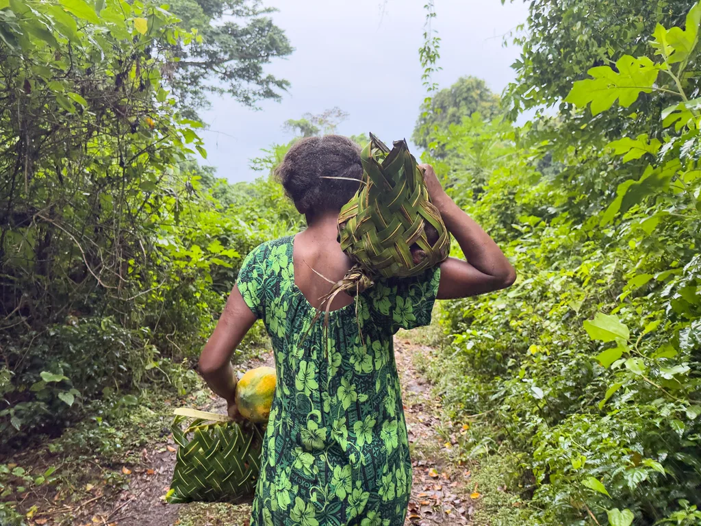 MarieClaire_Select_03.jpg Annie Jame walking through Resilience Garden carrying woven palm baskets of produce for sale. Pang Pang Village, Eftate. © Harriet Pratten / ActionAid