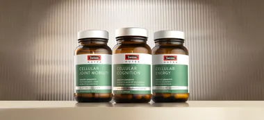 The Swisse Nutra Cellular range - Joint Mobility, Cognition and Energy — harnesses advanced cellular nutrition to power movement, sharpen focus and elevate everyday vitality from within.