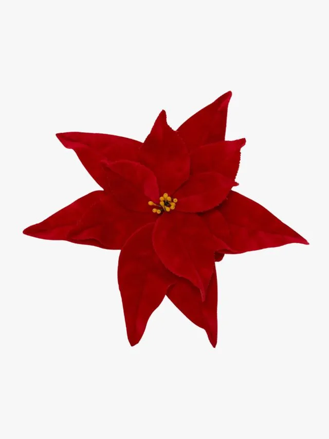 Black Friday Jewellery Deals JW Anderson Velvet Pointsettia Brooch