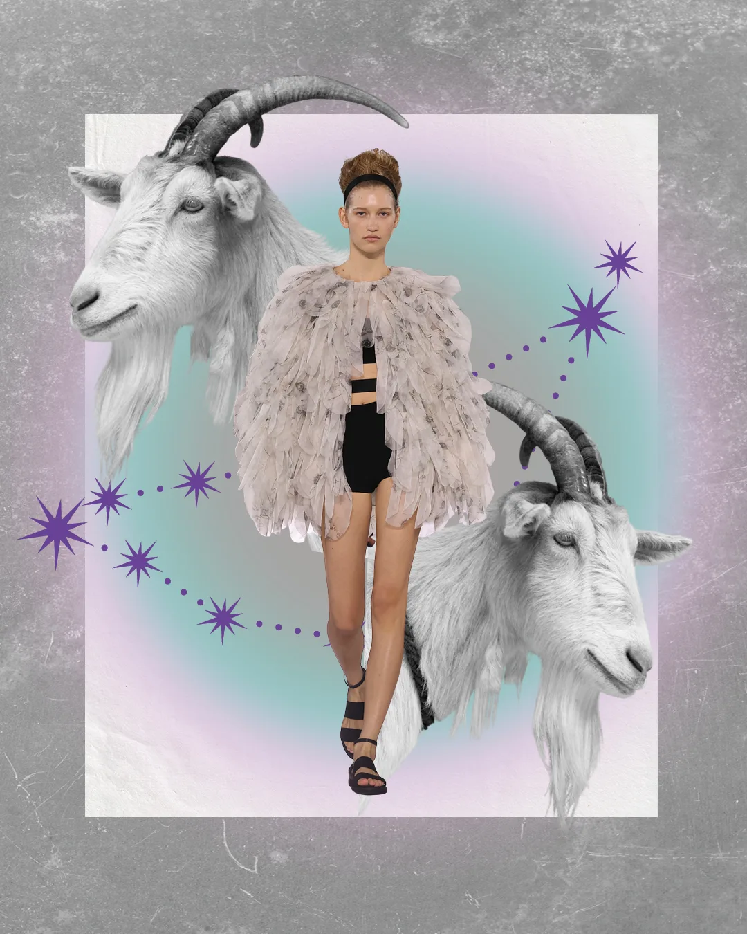 2026 Horoscope Capricorn