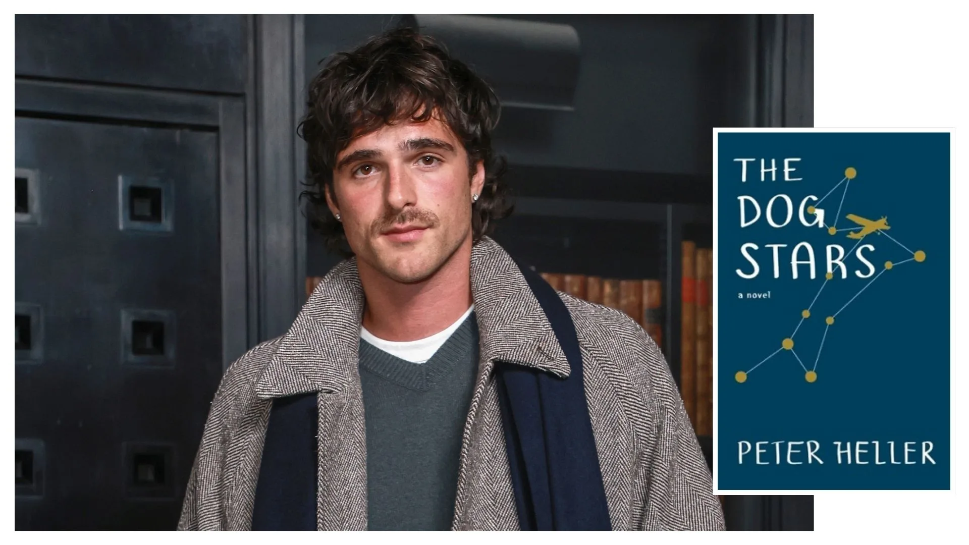 the dog stars adaptation