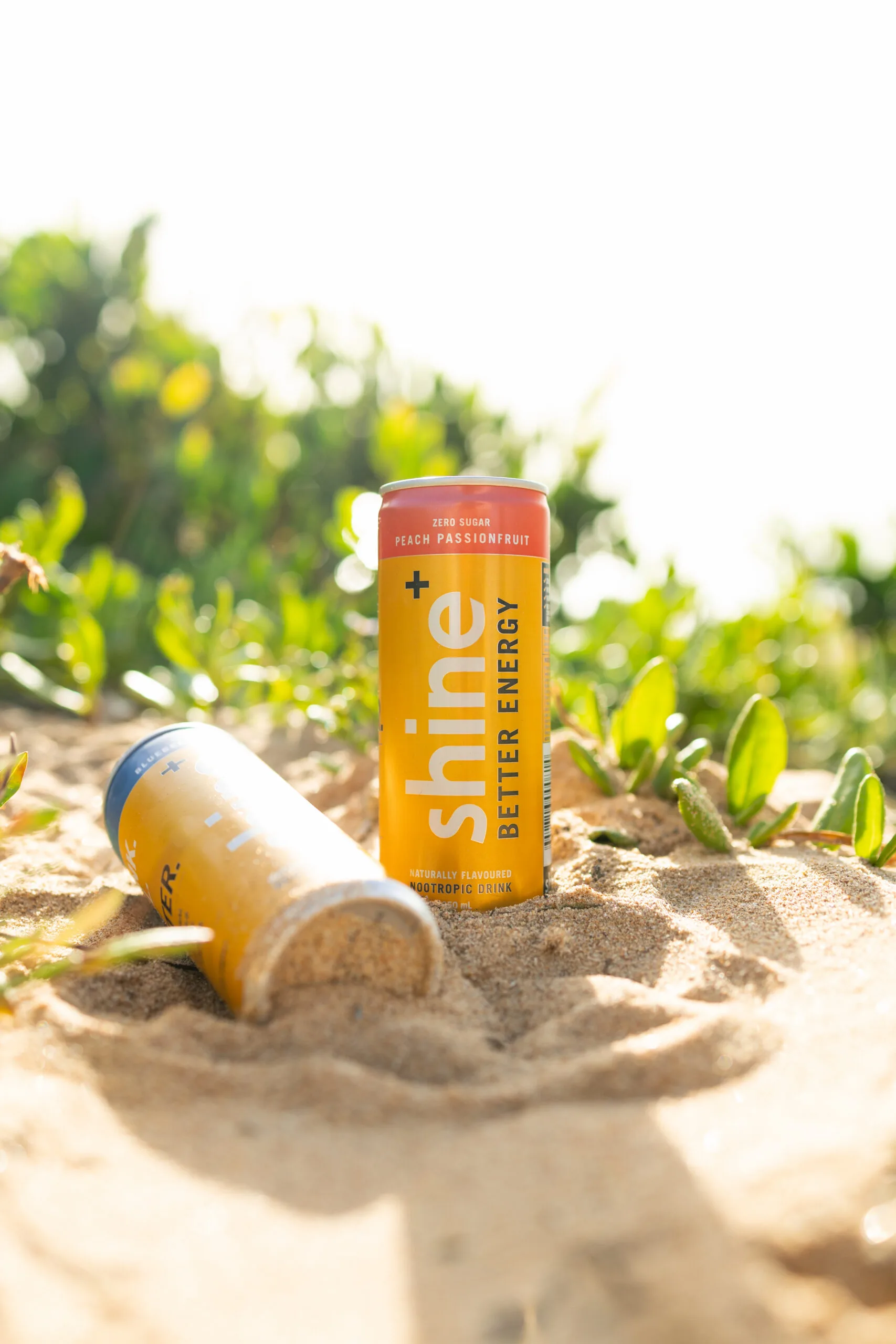 shine energy wellness drink