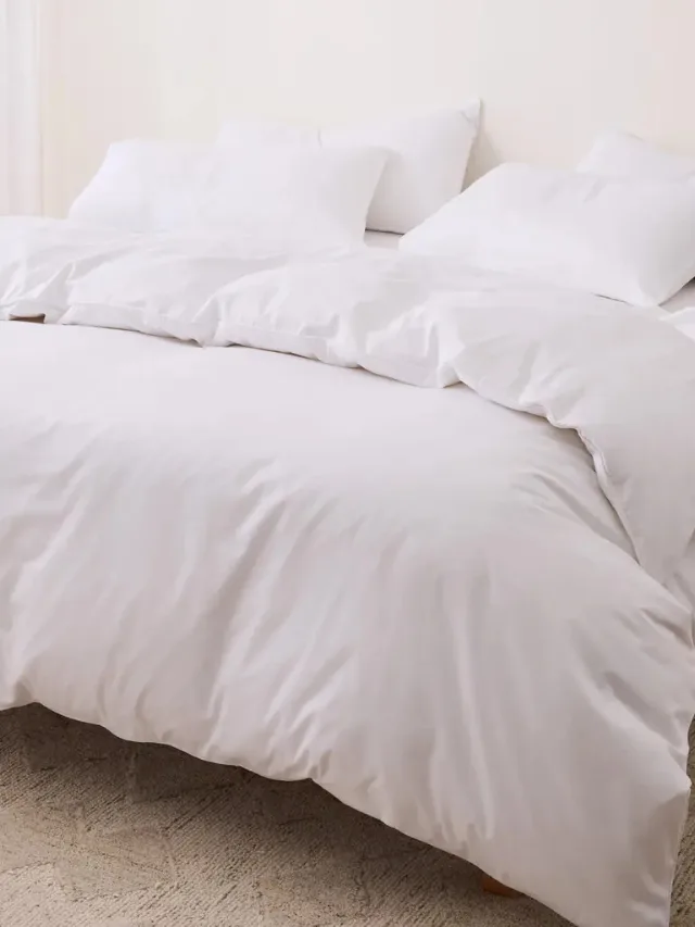 Best Bed Sheets_SHEET SOCIETY
Eden Cotton