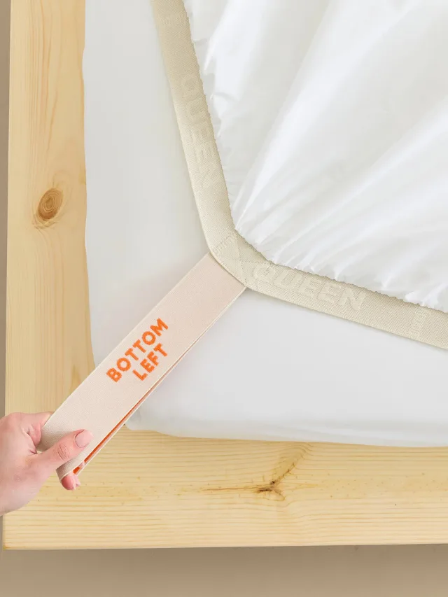 Best Bed Sheets_BONNY
Fitted Sheet