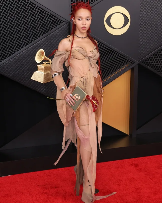 Grammys 2026 red carpet