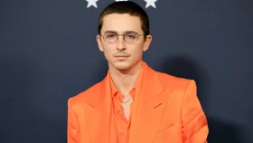 The Internet Has Turned On Timoth&eacute;e Chalamet Over His Ballet & Opera Remarks