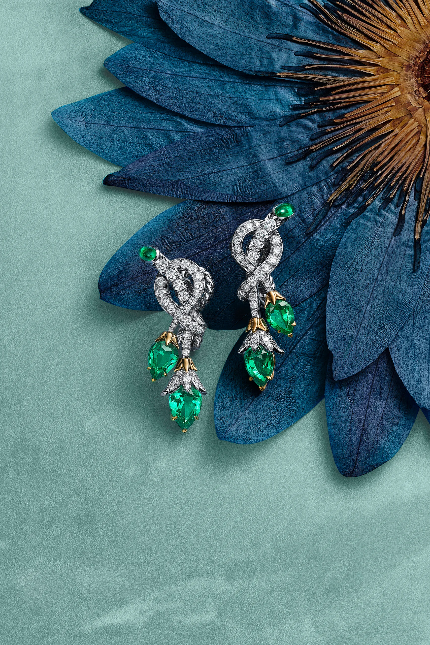 Tiffany & co 