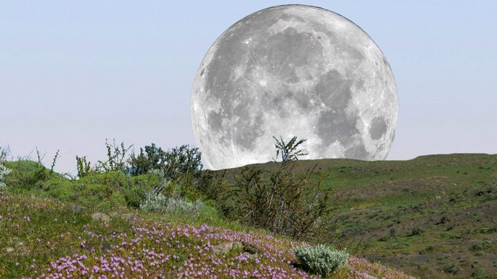 A Full Pink Moon Is Rising Tonight In Australia - Here's Where To See It
