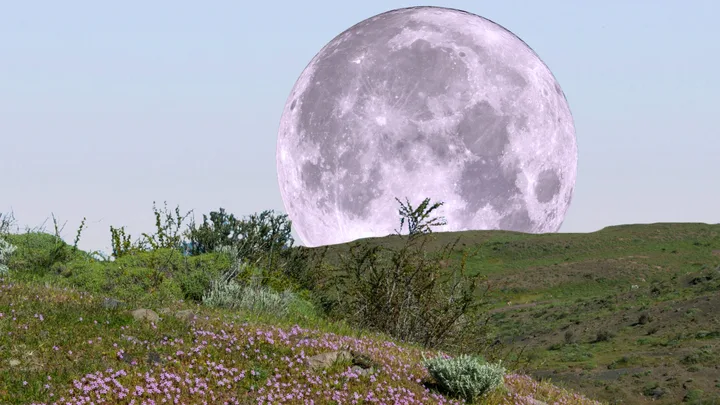 Pink full moon April 2026