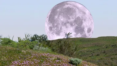 Pink full moon April 2026