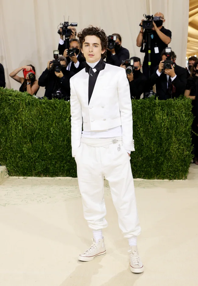 Timoth&eacute;e Chalamet met gala 2026