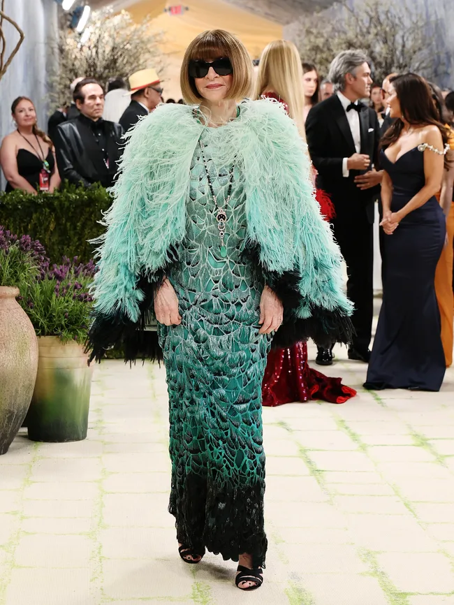 Anna Wintour Met Gala 2026 red carpet