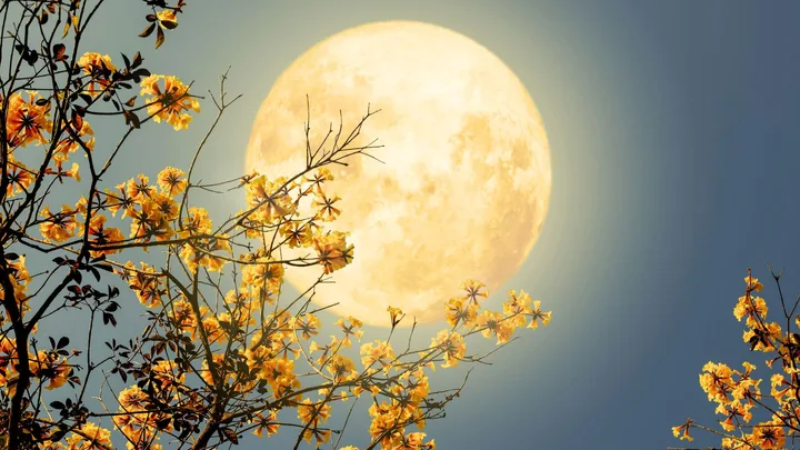May full flower moon