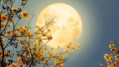 May full flower moon