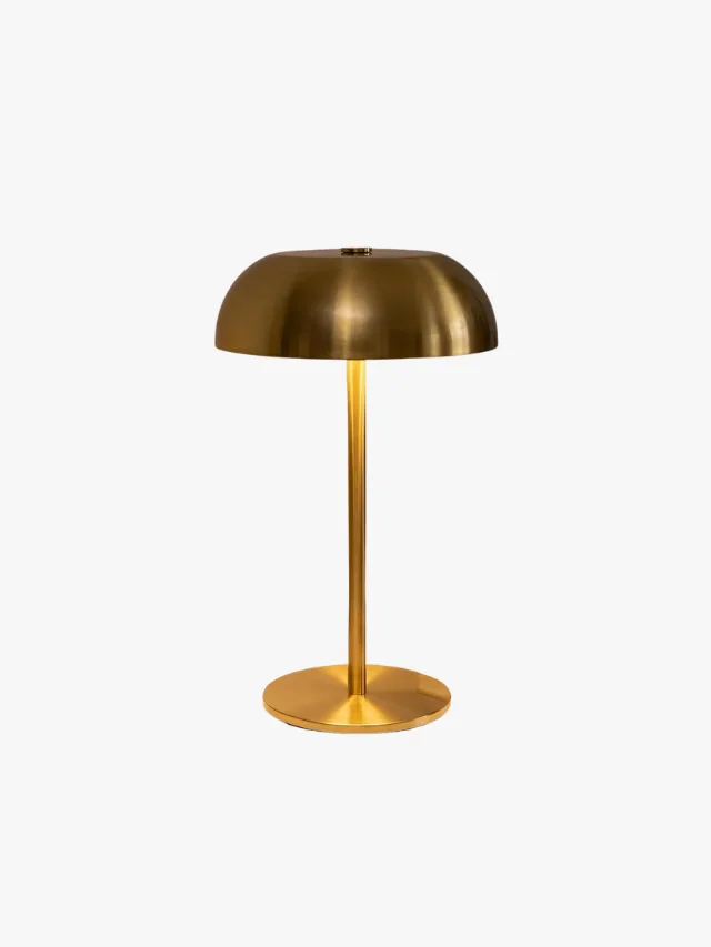 LHOSSOLITE
Rechargeable Mushroom Table Lamp