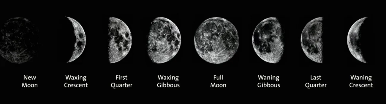 moon phases