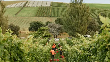 Australia’s Leading Sparkling Wine Label Celebrates A Milestone Birthday