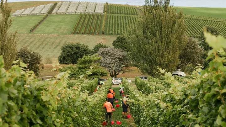 Australia’s Leading Sparkling Wine Label Celebrates A Milestone Birthday