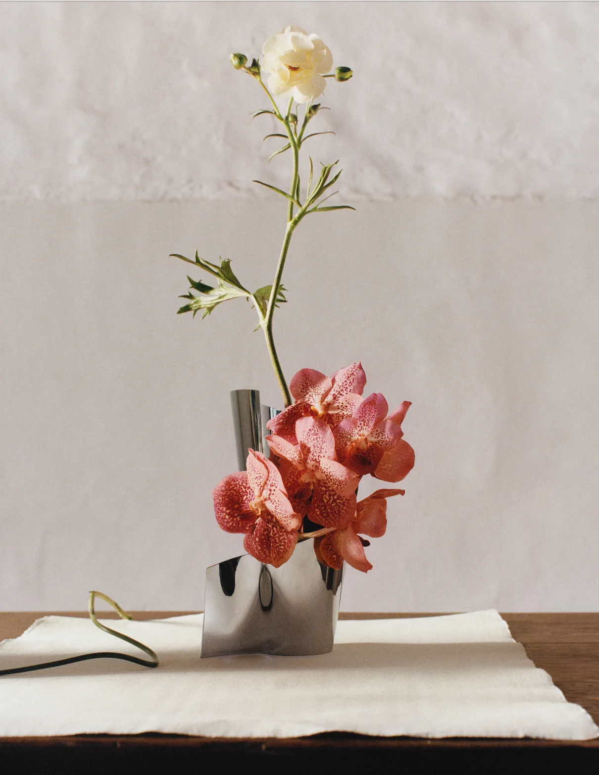 Image: Courtesy of Georg Jensen