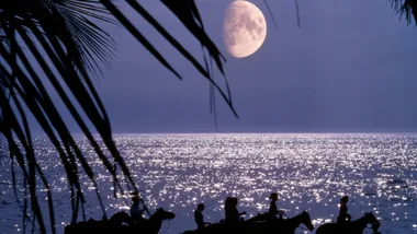 Mercury Retrograde In Scorpio