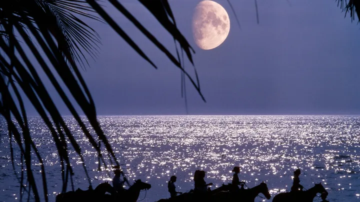 Mercury Retrograde In Scorpio Is Nearly Here, So What Do The Stars Have In Store?