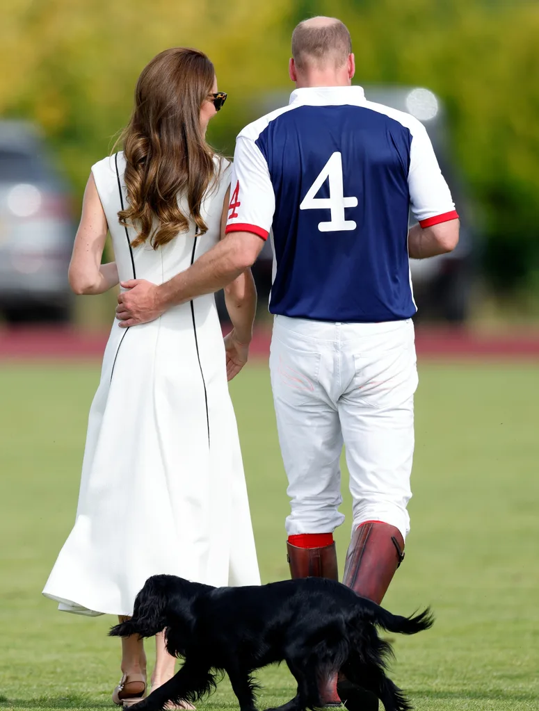 kate-william-dog