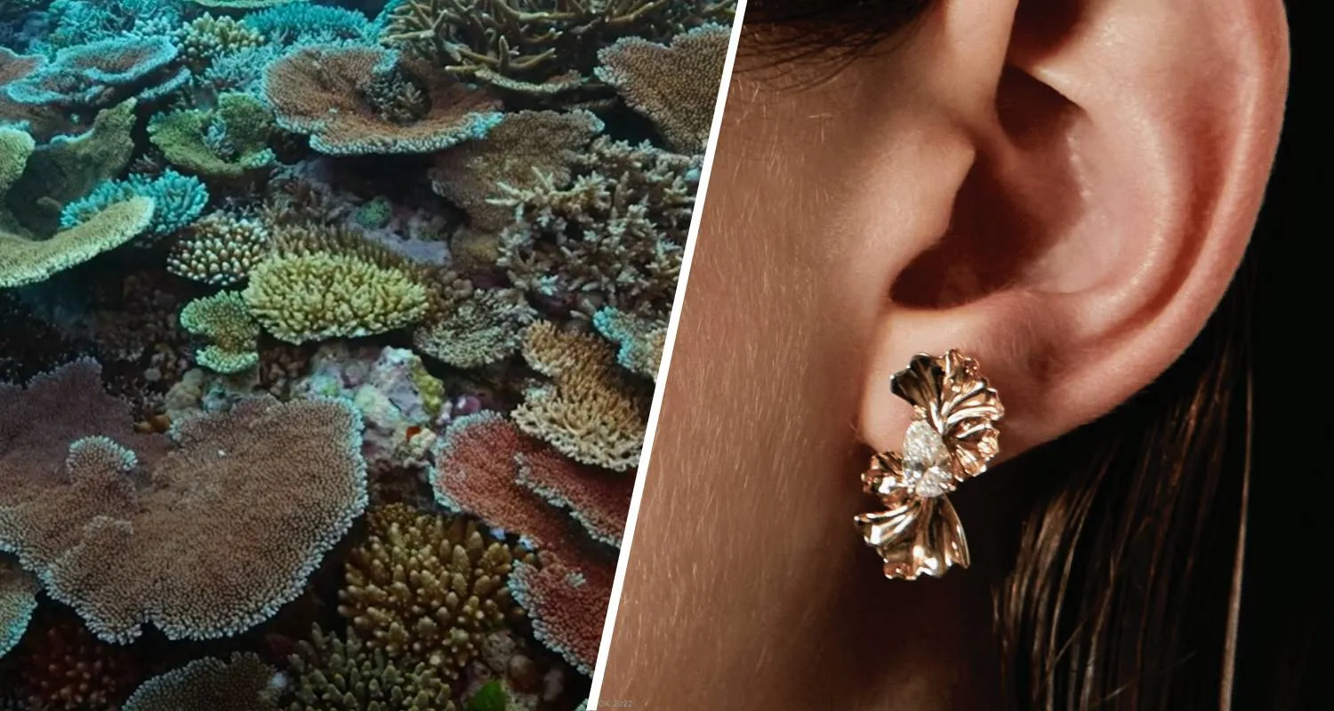 Making Waves: Sarah And Sebastian Pledges $1 Million To Ocean Conservation