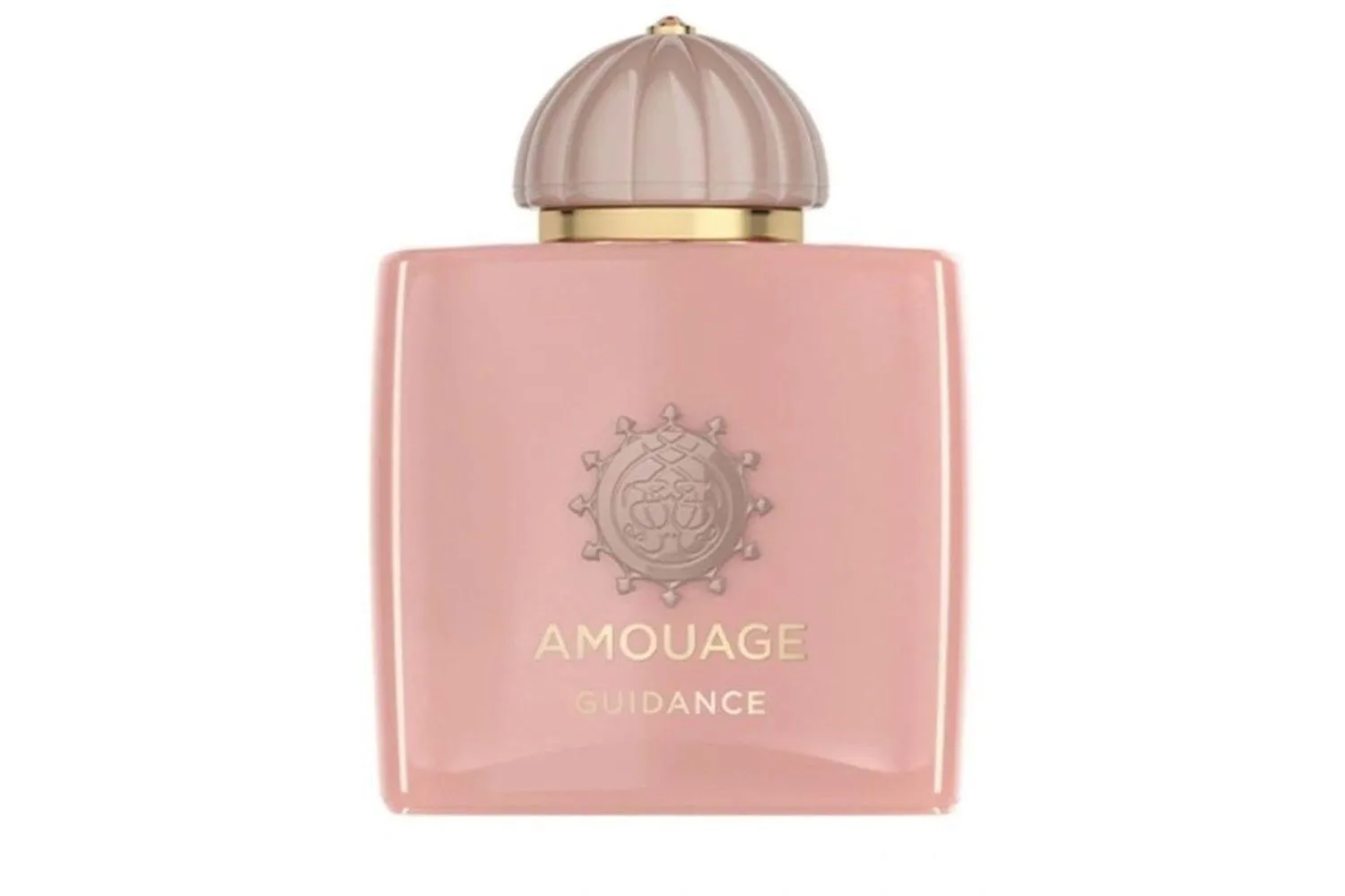 Amouage Guidance EDP, $499 at Adore Beauty