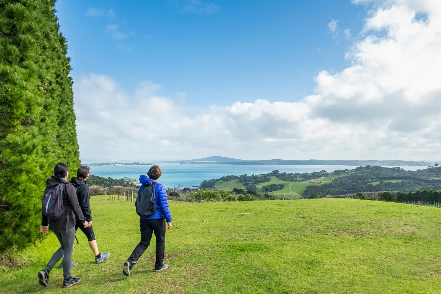 Terra & Tide tour Auckland