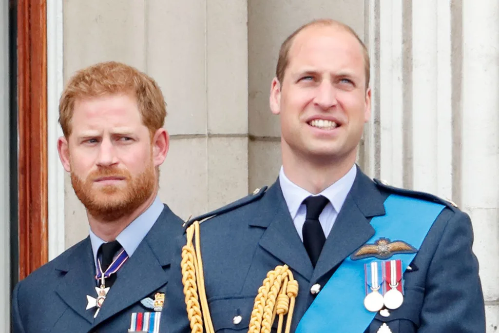 prince-harry-prince-william