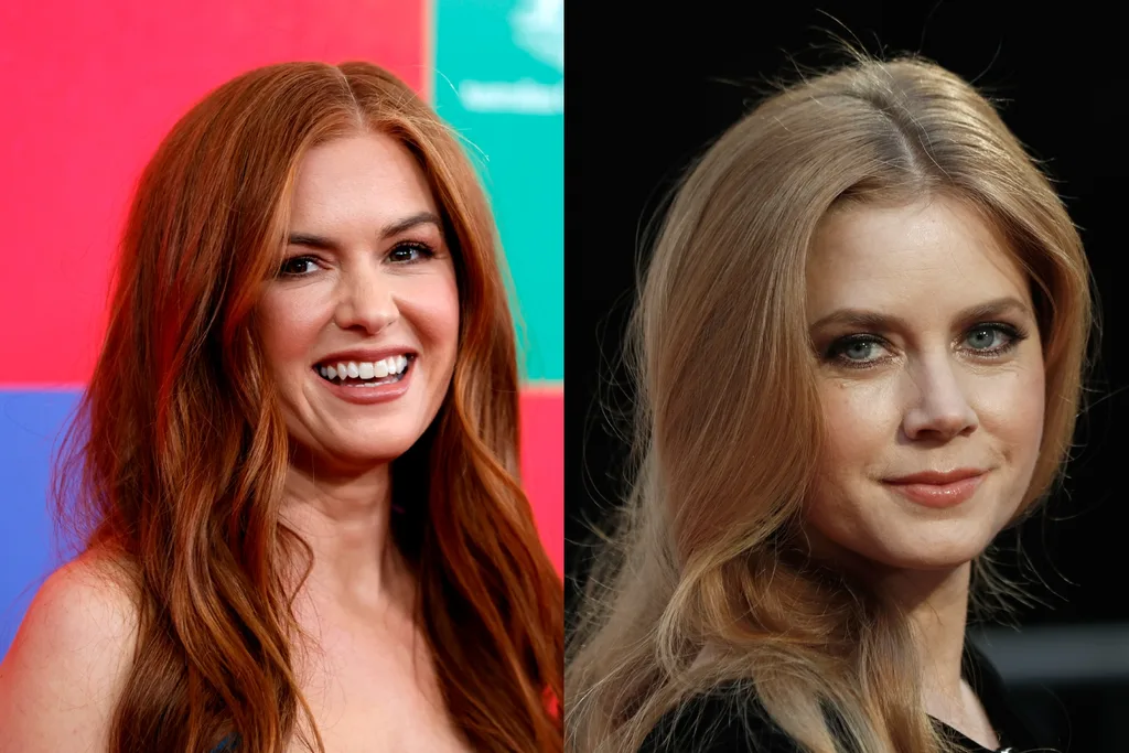 isla-fisher-amy-adams