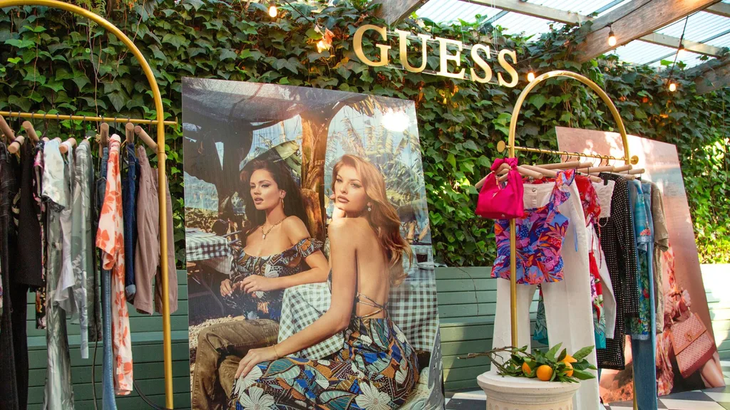 Guess-preview-launch