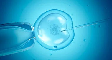 IVF Clinics Exposed For Making Misleading Claims About Their Success Rates