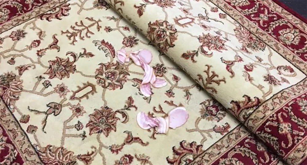 Muslim prayer mats vandalised with bacon at Sydney hospital