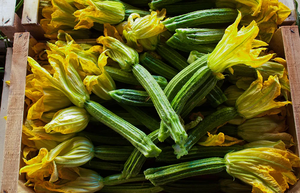 Florence farmer's market produce