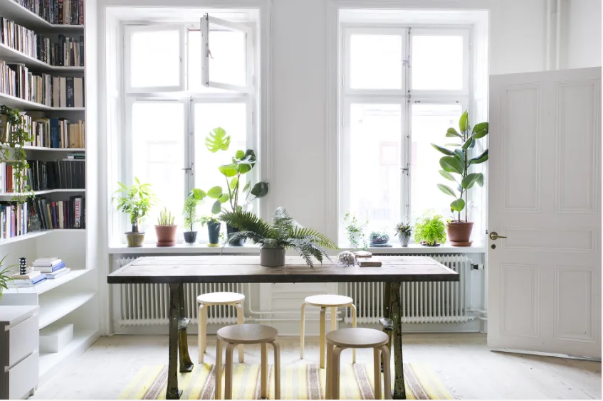 Plants are the easiest way to update your home.