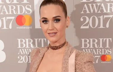 The 2017 BRIT Awards Red Carpet