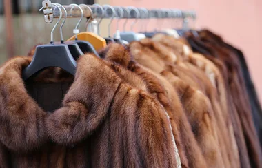 Net-A-Porter Has Gone Completely Fur-Free