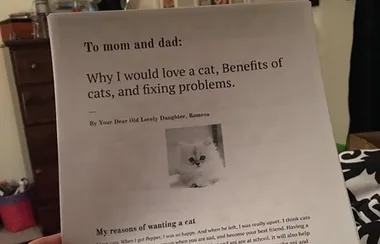11-Year-Old Writes Six Page Essay To Convince Parents To Get Her A Cat