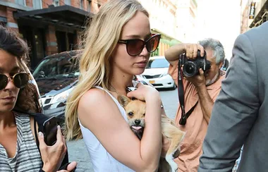 Jennifer Lawrence Unleashes At Paparazzi Who Touched Her Dog