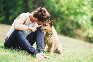 New Program For Both People And Pets Fleeing Domestic Violence