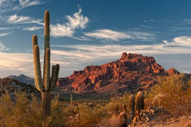 Mum Sentenced To 20 Years In Jail For Leaving Baby To Die In Desert