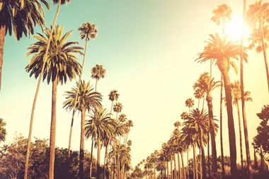 Win A Trip For Two To LA!