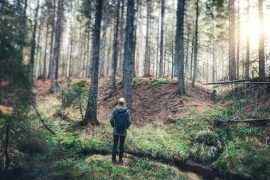 Young Woman Speaks Out About Surviving In Woods For 28 Days