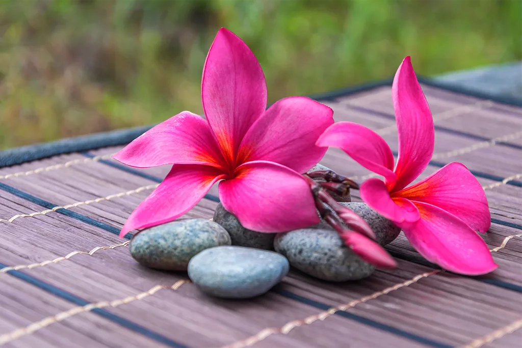 Balinese Flower