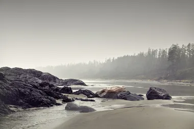 Yet Another Dismembered Foot Has Washed Up On A Beach In Canada