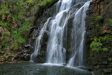 Victorian Woman Witnesses Drowning Tragedy While Filming Herself Swimming
