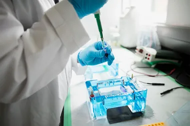 DNA Test Reveals Woman’s Father Is Actually Parents’ Fertility Doctor