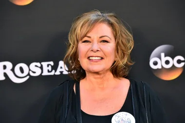 Maker Of Ambien Hits Back At Roseanne Barr: ‘Racism Is Not A Known Side Effect’